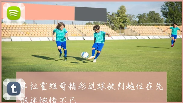 弗拉霍维奇精彩进球被判越位在先球迷惋惜不已
