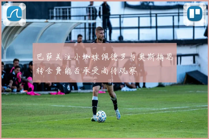 巴萨关注小蜘蛛佩德罗与奥斯梅恩转会费能否承受尚待观察